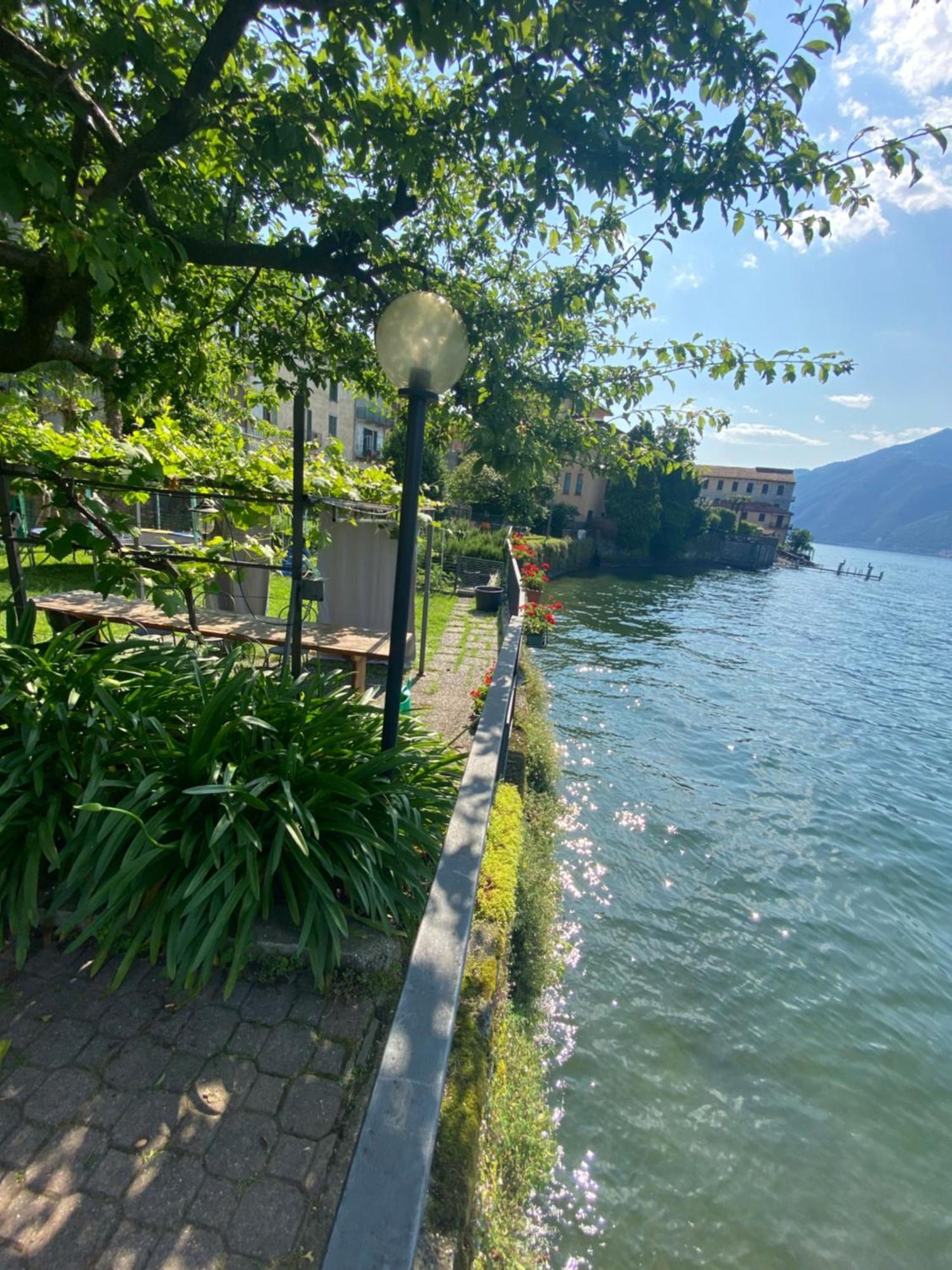 Peonia Apartment - Appartamento Vista Lago Lezzeno Extérieur photo