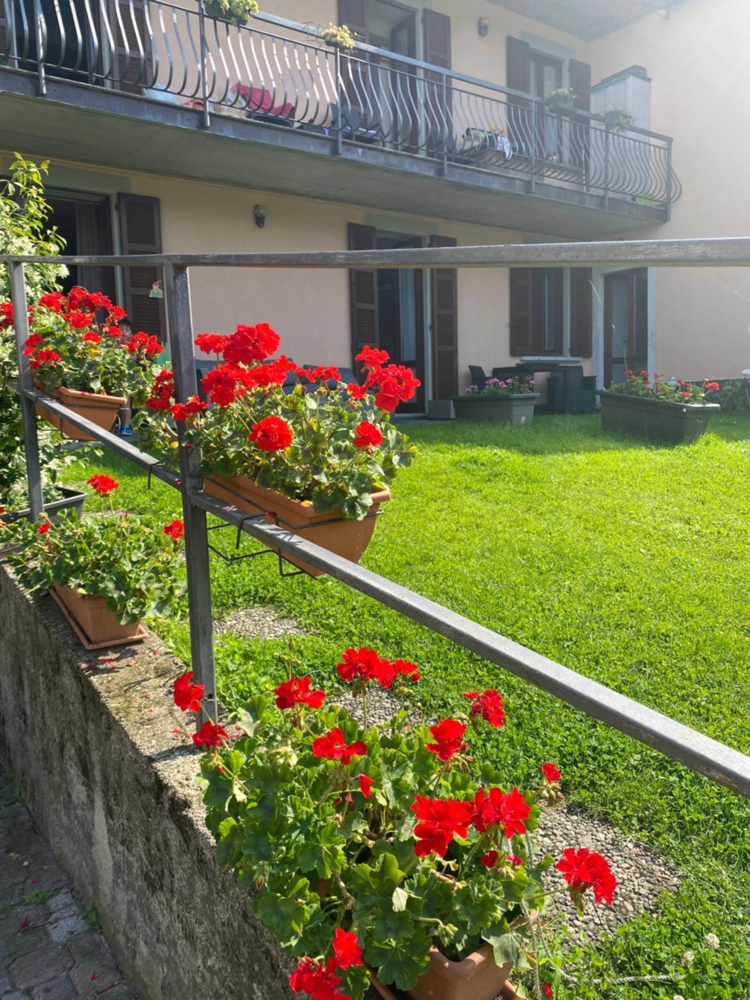 Peonia Apartment - Appartamento Vista Lago Lezzeno Extérieur photo
